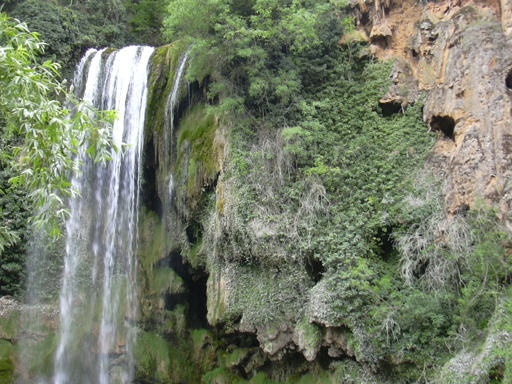"Requijada: Salto a la vida" de Miguel Balanz&aacute;, fotograf&iacute;a realizada en Nuev&aacute;los.